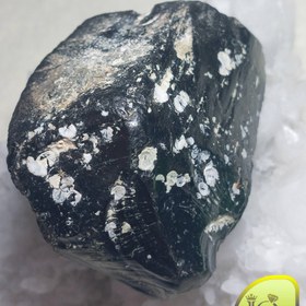 تصویر راف شبق (شوه) 