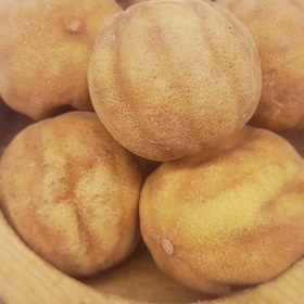 تصویر لیمو عمانی 