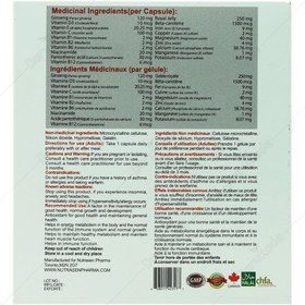 تصویر رویال پلاس 