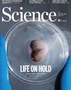 تصویر 17 مجله علمی ساینس . Science Magazine Part 2 مجموعه شماره 2 : تا 2025 ( قیمت هر مجله 30 دلار _ قیمت دلاری دانلود کل مجموعه : 510 دلار )