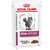 تصویر پوچ گربه رنال رویال کنین Royal Canin Renal