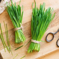 تصویر تره خشک 