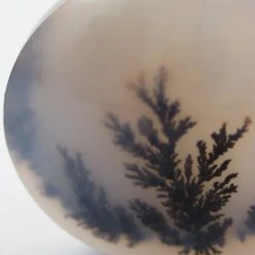 تصویر سنگ شجر کد 2294 