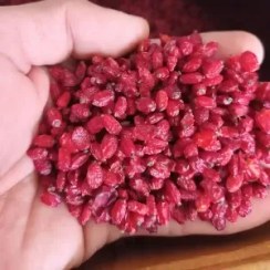 تصویر زرشک پفکی بیرجندی اعلا یک کیلو و نیم کیلو 