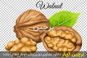 تصویر گردو png 