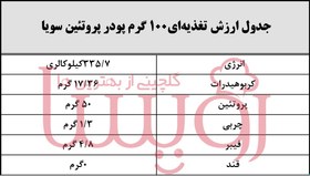 تصویر پودر پروتئین سویا 