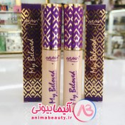 Perfect Skin High Coverage Concealer-Honey