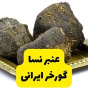 تصویر عنبر نسا گورخر ایرانی (منطقه حفاظت شده) بسته 10 عددی 