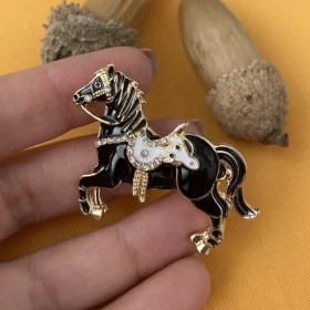 تصویر کد A-222 | گل سینه اسب سیاه 