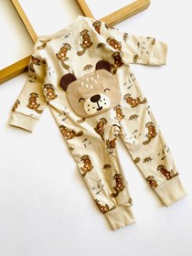 تصویر سرهمی لیندکس - ۴-۶ ماه 