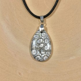 تصویر پلاک فسیل مرجان طبیعی اشکی 251165 