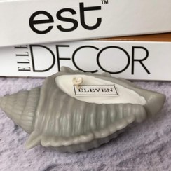 تصویر صدف کوچک 