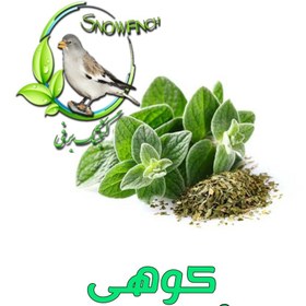 تصویر خرید پونه کوهی – اصل و خالص 