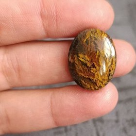 تصویر شجر پاییزه Shajar paize