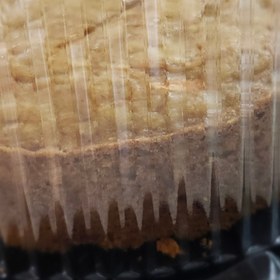 تصویر کیک هویح و گردو 