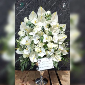 تصویر فروشگاه دوشیزه فلاور