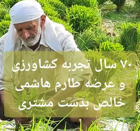 تصویر برنج طارم محلی فریدونکنار وزن خالص ۱۰۰ کیلوگرم + ارسال رایگان تا درب منزل 