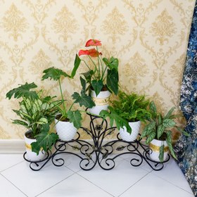 تصویر استند گلدان مدل فلوریا کن مدل 405328 