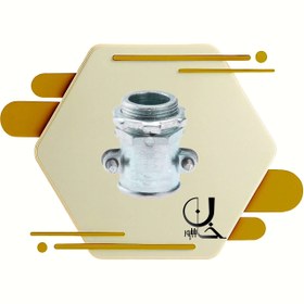 تصویر گلند دوپیچ 16 