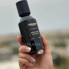 تصویر عطر ادکلن استون مارتین بلک استون - دکانت 6 میل ASTON MARTIN BLACK STONE