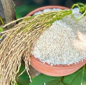 تصویر برنج طارم هاشمی کشت یک - 5کیلو گرم Rice