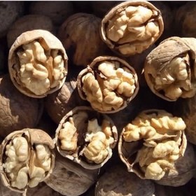 تصویر گردو کاغذی تویسرکان 1 کیلوگرم 