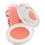 تصویر رژ گونه چارمینگ شون Charming شماره B03 Schon Charming Blush B03