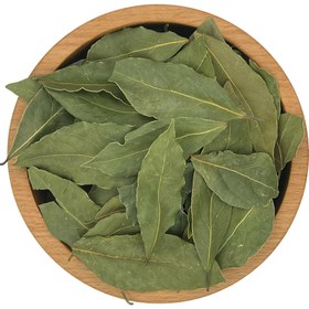 تصویر برگ بو 