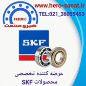 تصویر بلبرینگ 6006ZZ اس کی اف مناسب پلوس ۴۰۵ و ۲۰۶ 