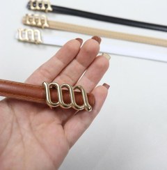 تصویر کمربند شیلدن 