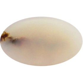 تصویر سنگ شجر پارلا گوهر کد 4079 