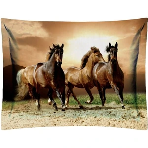 تصویر فروشگاه رنس دکور