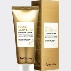 تصویر فوم شستشو صورت حلزون فارم استی ( FarmStay-Snail Moisture Cleansing Foam 