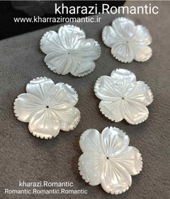 تصویر صدف گل طبیعی و اصل 