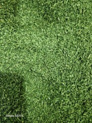 تصویر اسفناج خشک شده الک شده 