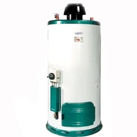 تصویر آبگرمکن گازی ایران شرق مدل Nargess 998 ظرفیت ۵۰ لیتر ایستاده 