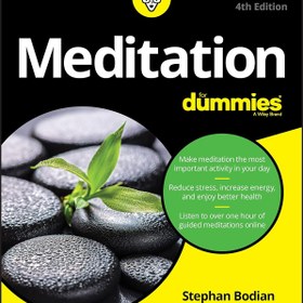 تصویر کتاب آموزش مدیتیشن برای آدمیزاد Meditation for Dummies 