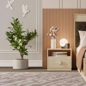 تصویر پاتختی آلفا نوجوان 