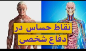 تصویر دوره ی نقاط حساس و ممنوعه در دفاع شخصی human weak points for self-defense