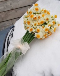تصویر شاخه گل نرگس در گلفروشی قبا 