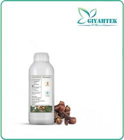 تصویر روغن میخک 