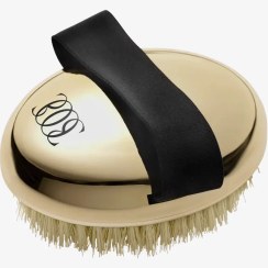 تصویر برس خشک طلایی - اوریفلیم 