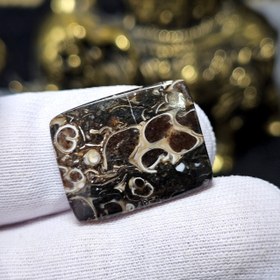 تصویر نگین سنگ طبیعی فسیل تورتیلا معدنی کد 34672 