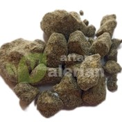 تصویر عنبر اشهب 