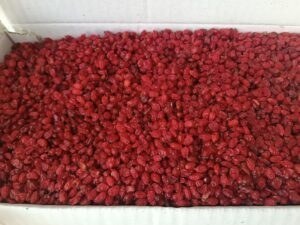 تصویر زرشک پفکی 