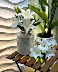 تصویر گل لیلیوم8184 