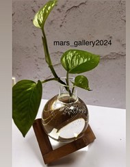 تصویر شیشه تراریوم 