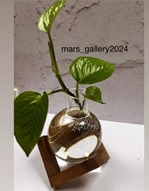 تصویر شیشه تراریوم 