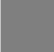 تصویر فون بک گراند خاکستری مخمل Backdrop Gray 2×3 ا Backdrop Gray 2×3 Backdrop Gray 2×3