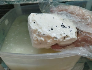 تصویر فروشگاه سورن20